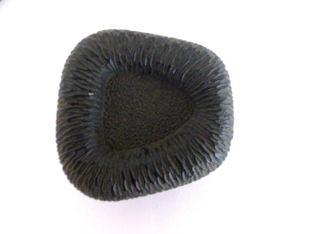 Black Giant Irregular button (no.00968)