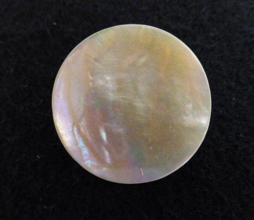 Natural Rainbow Shell button (no.00761)